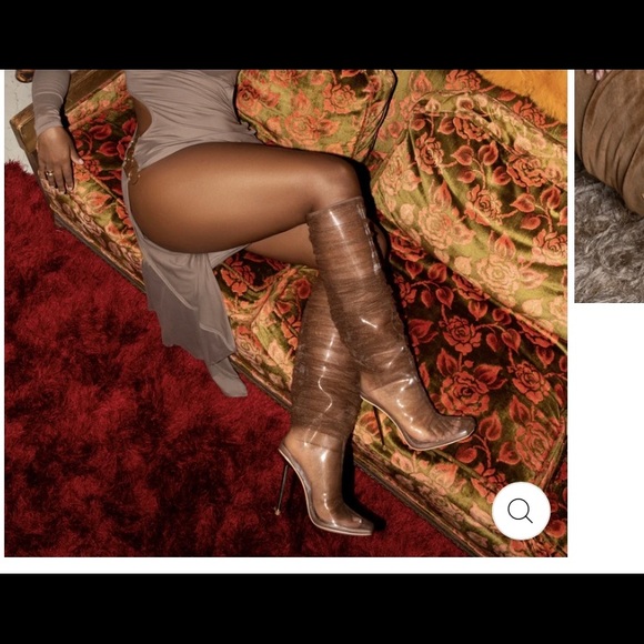 BflyLA Shoes - BFlyLA Knee High Brown; PVC, air holes, 4 inch gold heel and brown mesh